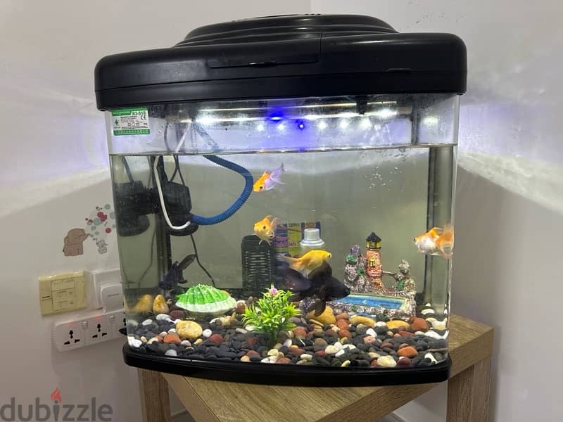 fish tank / Aquarium for sale 1