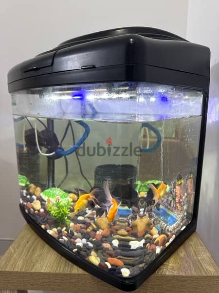 fish tank / Aquarium for sale 2
