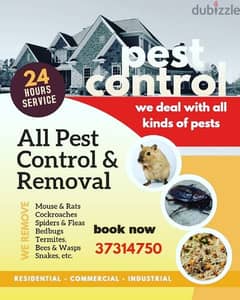 pest control flat & villa only 10bd big offer warranty 6month 37314750 0