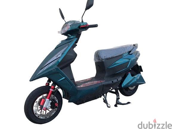 Electric Scooter with 6 months Motor warranty 4