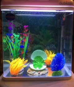 Aquarium Fish Tank With All Items اكواريوم حوض سمك مع الاغراض والزينة 0