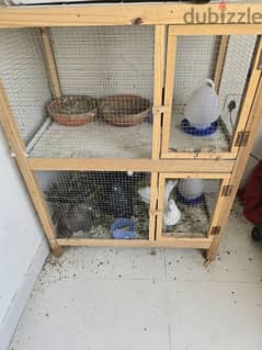 Double cage with birds and Accessories