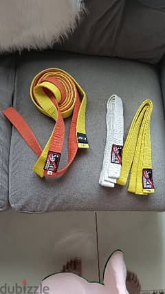 karate belt /taekwondo belt