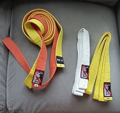 karate belt / taekwondo belt