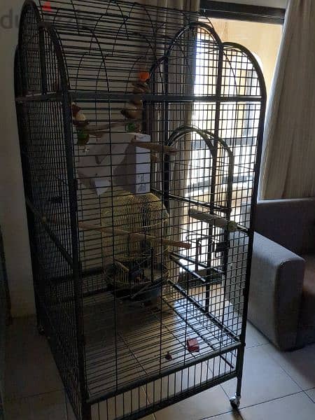 big cage for medium, large parrots 1