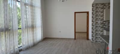 Spacious Semifurnished 2 Bedroom Flats For Rent