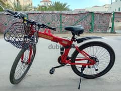 Lehan Bicycle