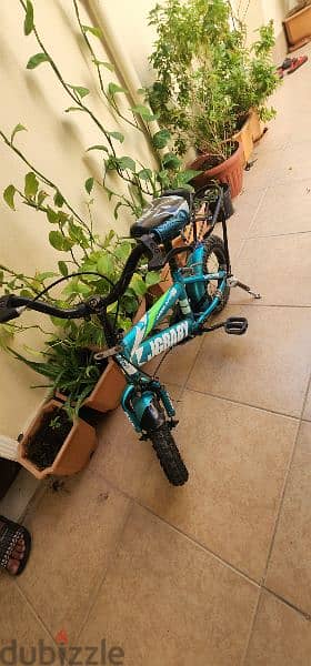 used cycle good condition 2