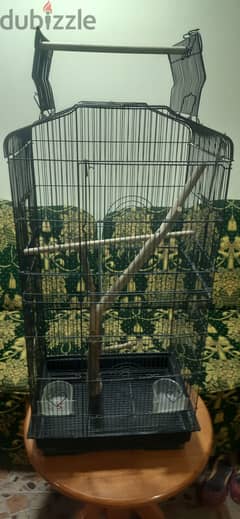 Big cage for small parrots and birds
