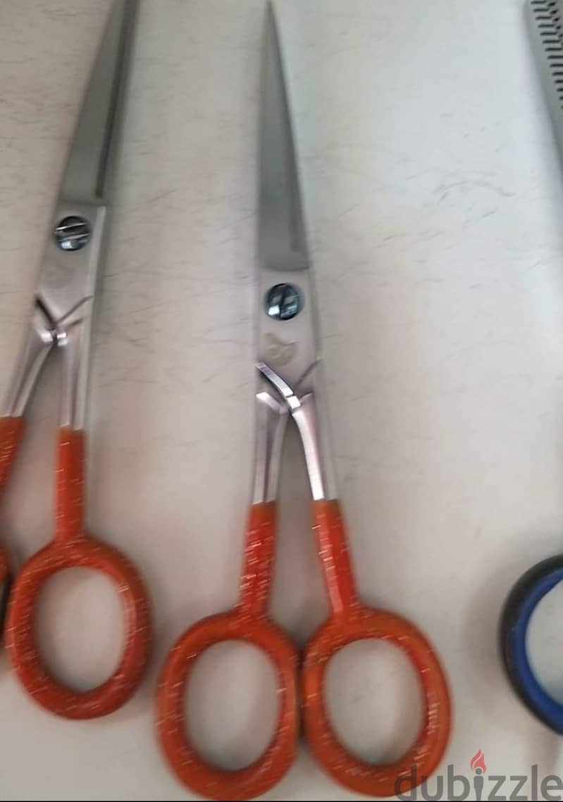 Salon scissors 5