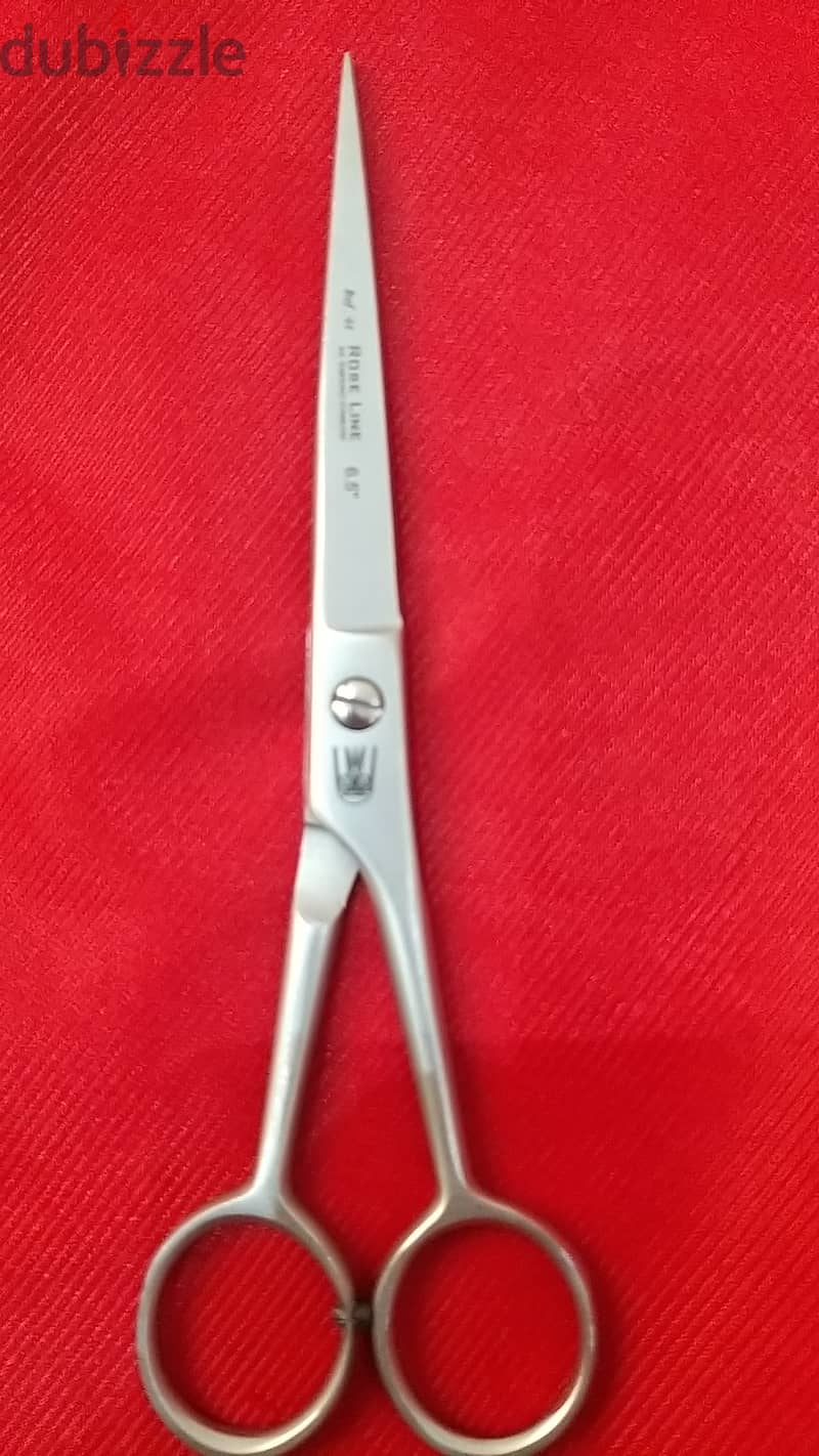 Salon scissors 12