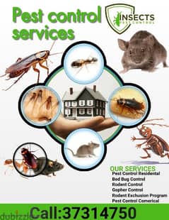 pest control big offer full flat and villa only 10bd call 37314750 0