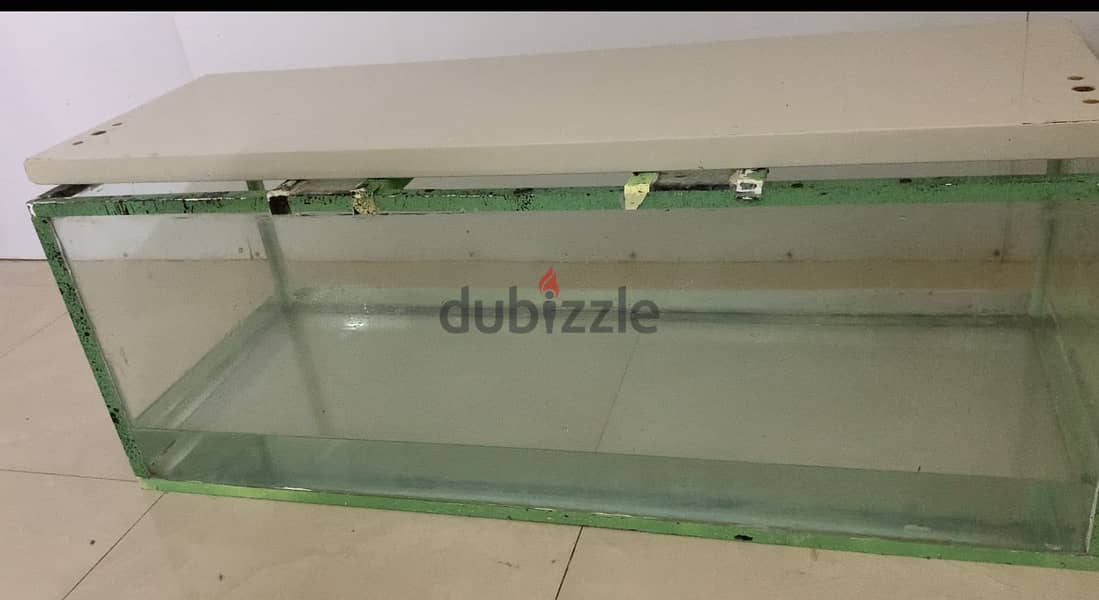 View of Used Aquarium for sale - Fishes - 105222958