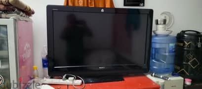 Sony basic tv