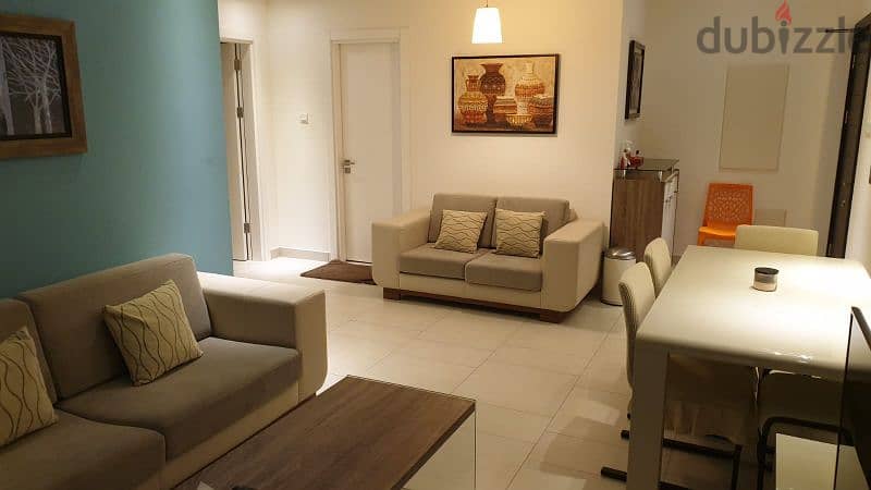 Fully furnished Apartment for sale 3
