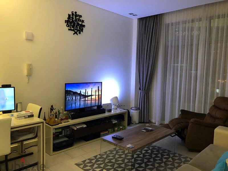 Fully furnished Apartment for sale 10