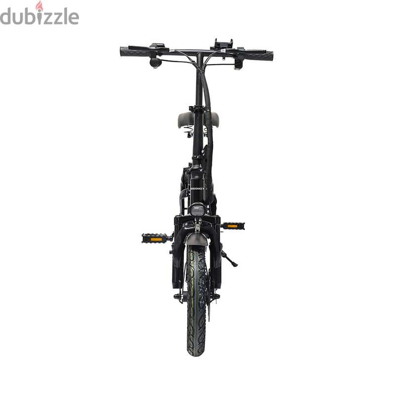 Electric Foldable Ebike 1