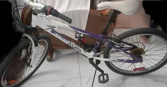 gear bicycle 22size