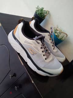 skecher sport shoes for sale