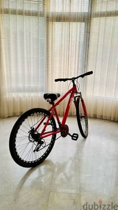 Limited Edition HCGM Coca Cola Bike