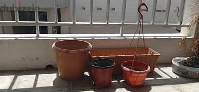 plants pots for sale in 4BD