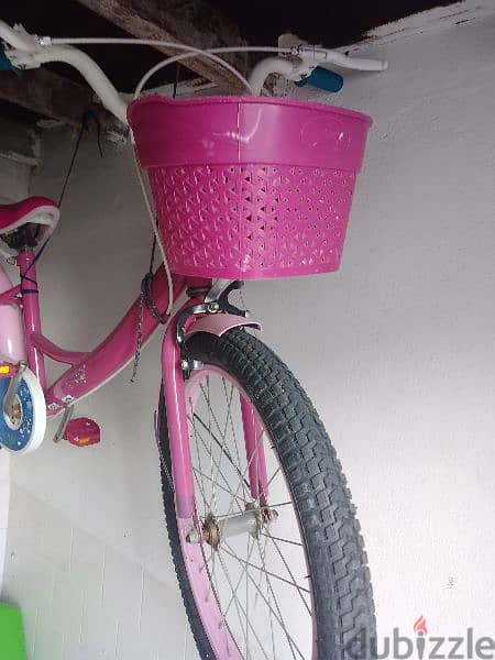 baby girl cycle 2