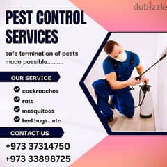 pest control services only 10 BD WhatsApp 34302056 0