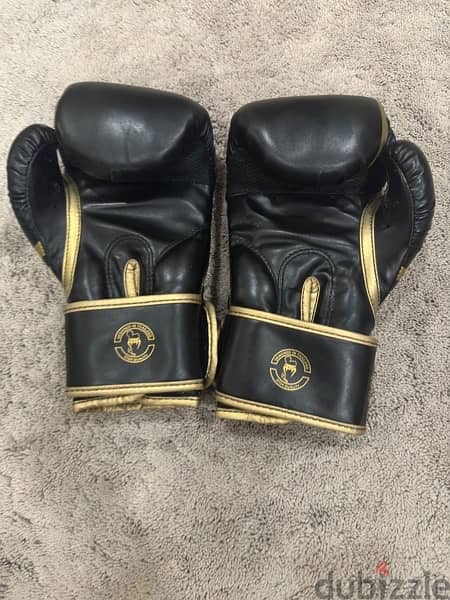 Venum Challenger Boxing Gloves 10oz 1