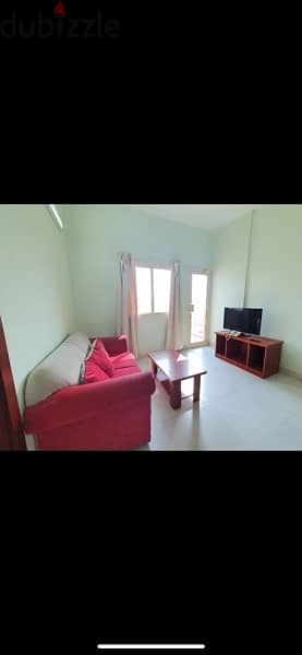 Furnished flat for rent with Ewa 1