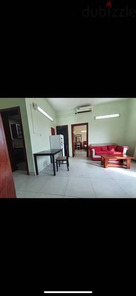 Furnished flat for rent with Ewa 2