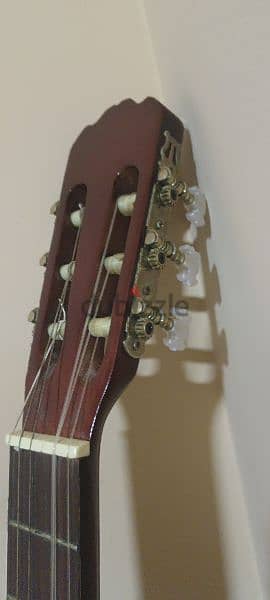 Acoustic Casual Guitar for Sale! 3