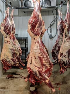 BUTCHERY FOR SALE