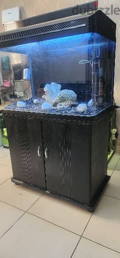 big aquarium with canister filter for 50bd