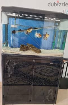 fish aquarium-حوض سمك بحالة ممتازة
