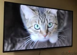 40" inch led tv full HD ( not smart)