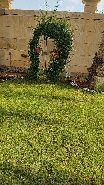 Gardan Repair Grass cutting new flower