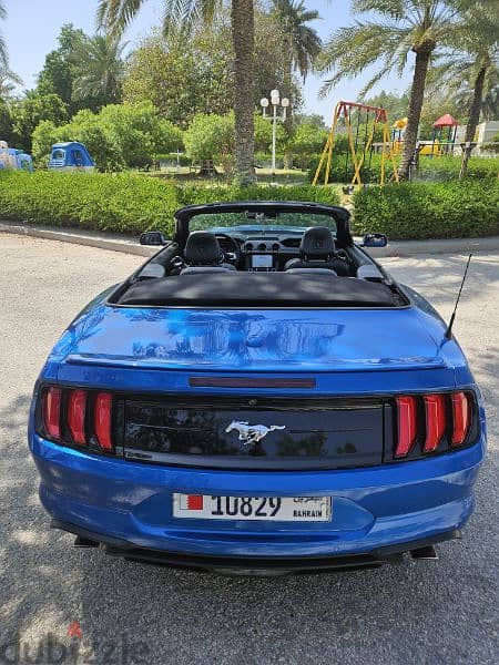 Mustang Black Interior, Blue Metalic Body, 2020 - 64 KM convertible 7