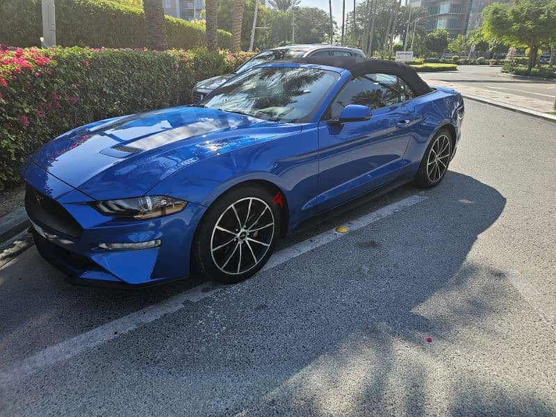 Mustang Black Interior, Blue Metalic Body, 2020 - 64 KM convertible 14