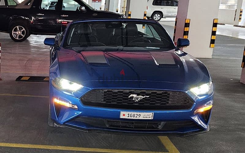 Mustang Black Interior, Blue Metalic Body, 2020 - 64 KM convertible 16