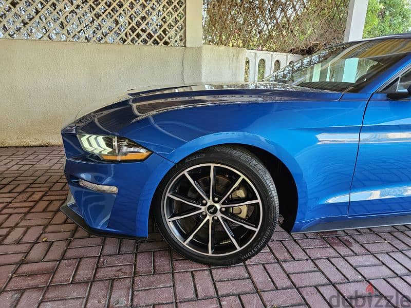 Mustang Black Interior, Blue Metalic Body, 2020 - 64 KM convertible 1