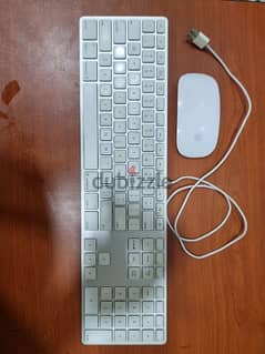 APPLE mouse and keyboard 0