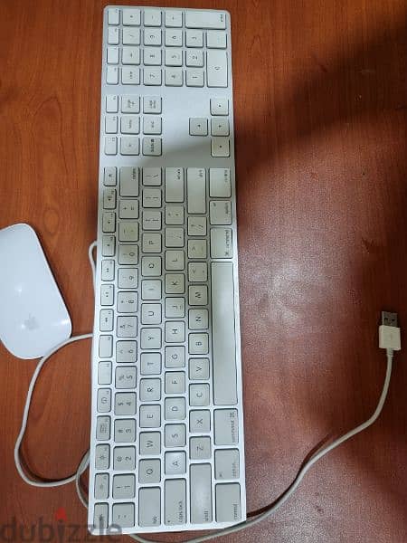 APPLE mouse and keyboard 1