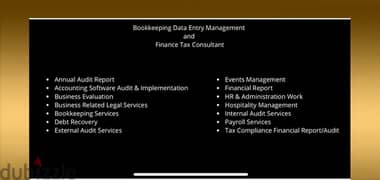 Finance Tax Consultant Annual Audit Report 0