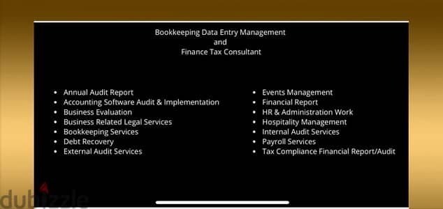 Finance Tax Consultant Annual Audit Report