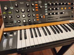 Behringer Poly D Synthesizer 0