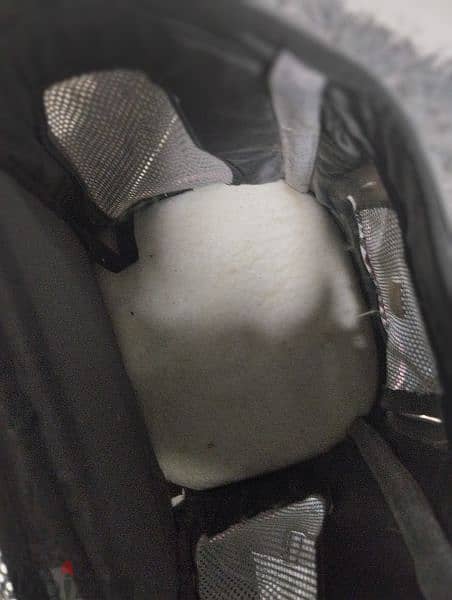 pet case/bag 3