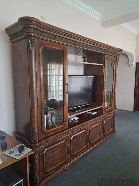 professional cabinet for sale 3