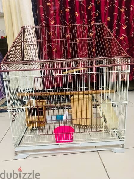 big birds cage 2