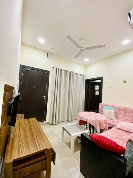 Fully Furnished Flat For Rent 1