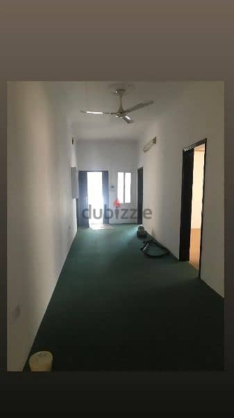 flat to rent 3
